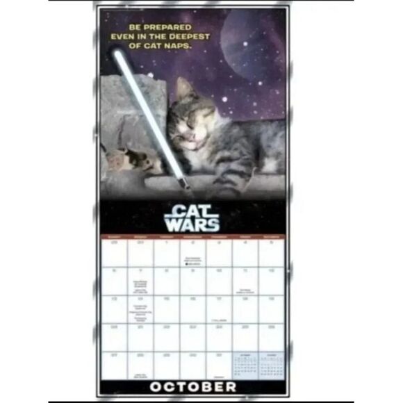 Cat Wars In A Galaxy Not Far Away Cats Rule 2024 Calendar 16 Month - Picture 5 of 12